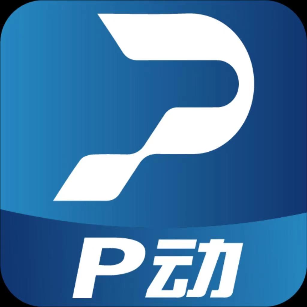 P��3.0 ��̬��ֽ����
