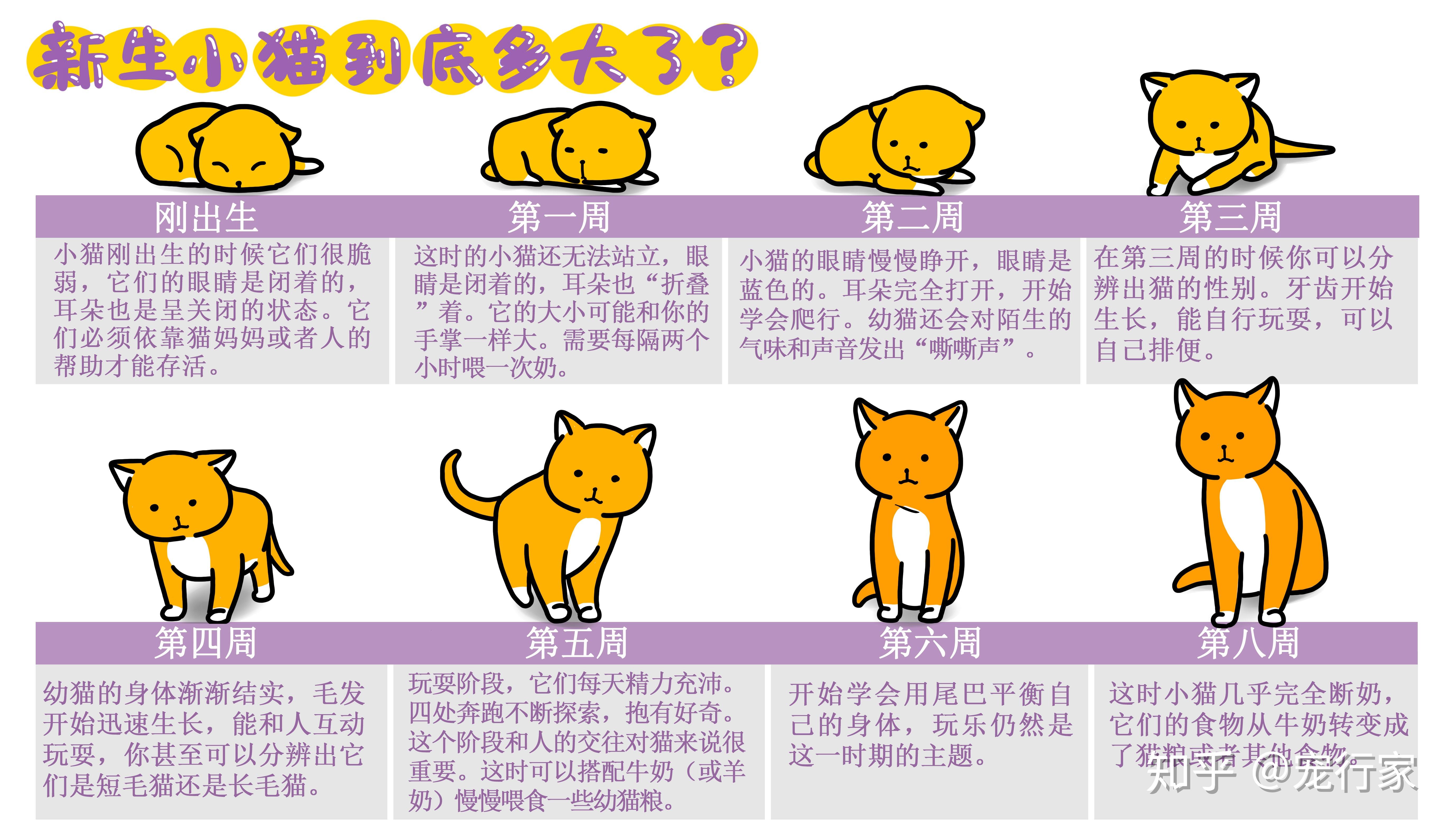 è�����ռǼ�¼ιʳ�ű㽡���۲췽��