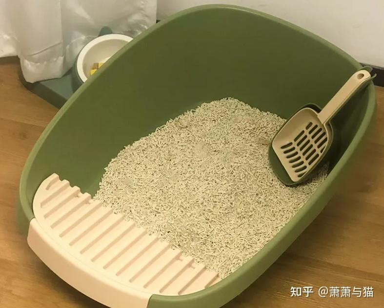 è�����ռ����������ճ���¼��ʵ�������