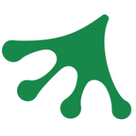 Zoyaצѿ1.0.0 ������ɫ����