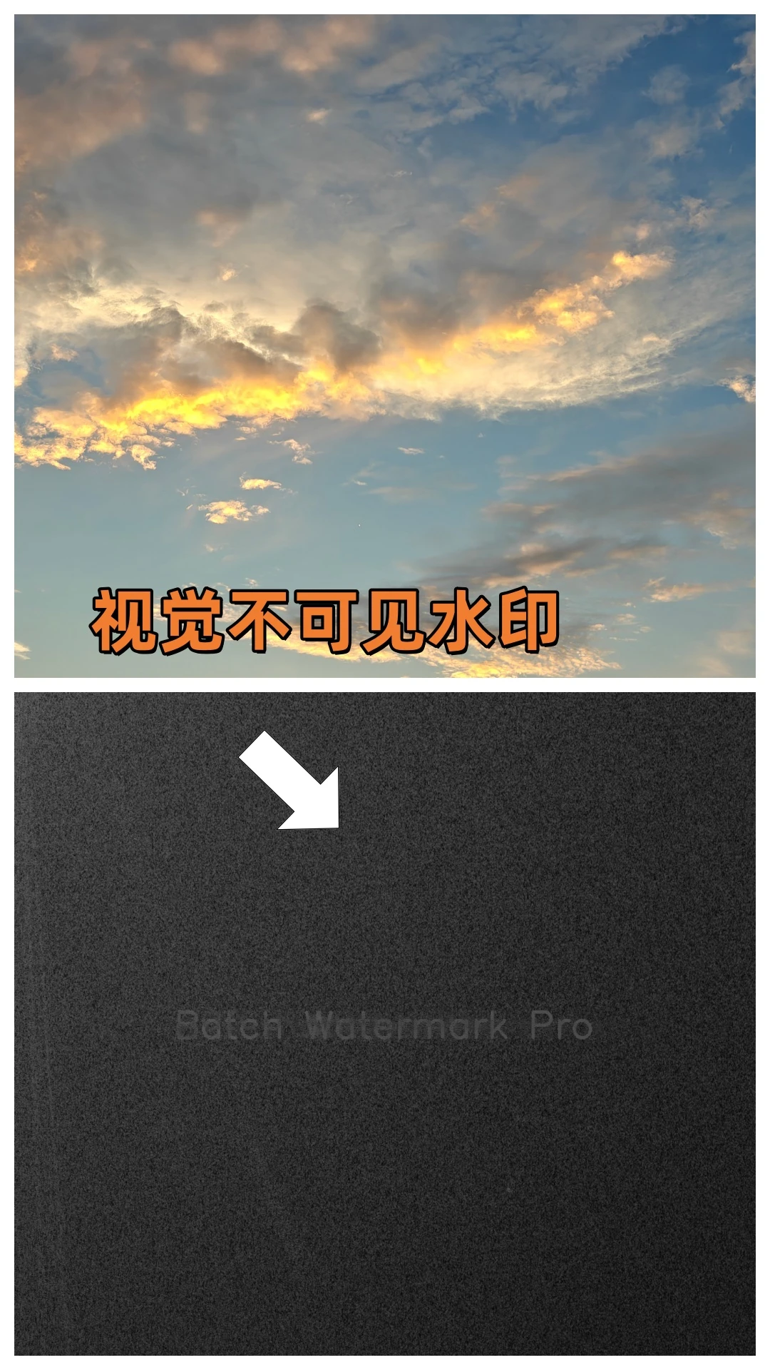 ����ˮӡPro6.0.15 ������ˮӡ