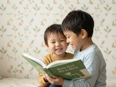 �ɳ���¼��ôд��ģ�����ʵ��������