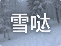 ѩ�����¶�̬��ʵ�ù��Է���