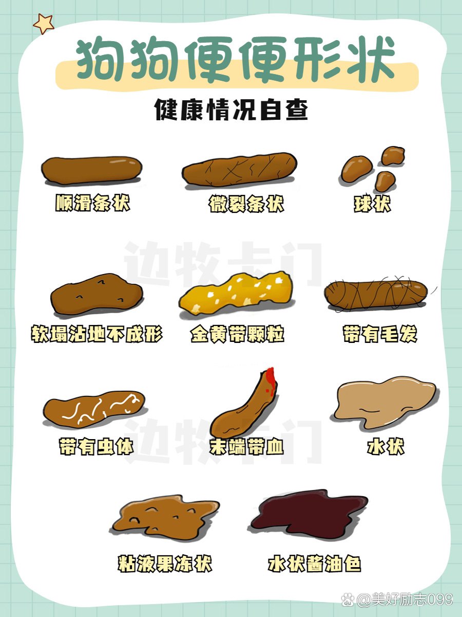 è�����ռǱ��۲�ͳ��｡����¼��