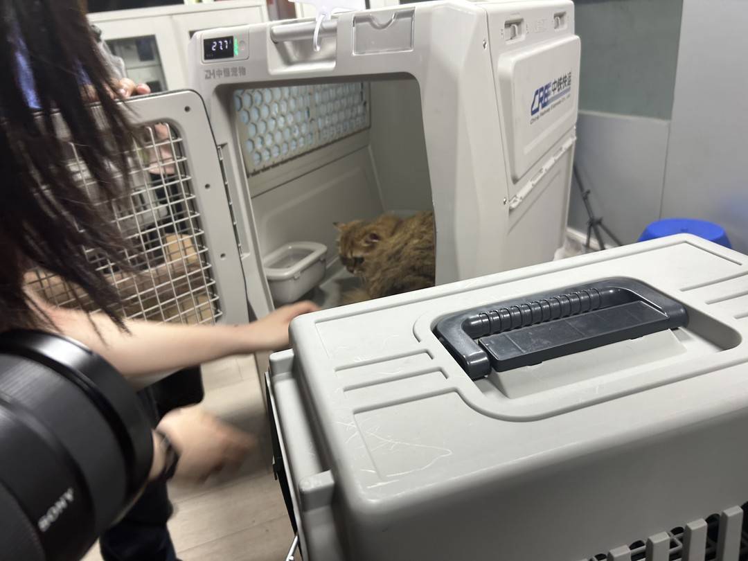 ���跽�۳����������������Ƶ��¼