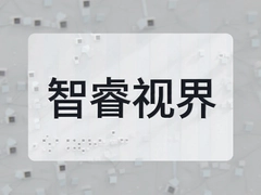 ����ӽ�������AI�Ӿ�������