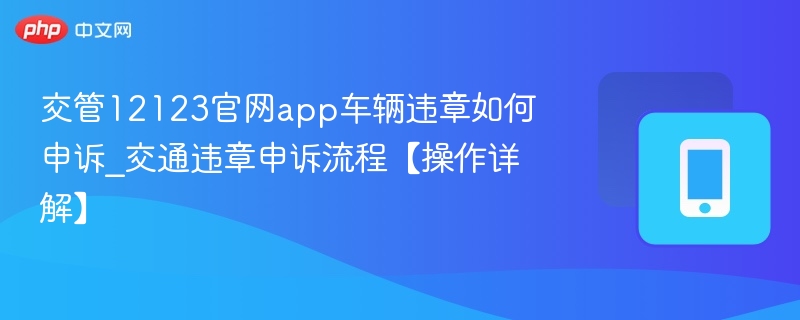��ͨΥ��Υ��ָ�� ����12123��Υ�²�������