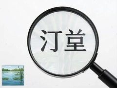 ͡���Ŵ󾵽�������ϸ��ȫ����
