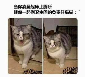 èͷ����������������èͷ������Դ��ͼ
