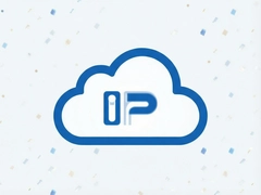 IP�����Ʋ�ѯ��׼��λ����շ���ָ��