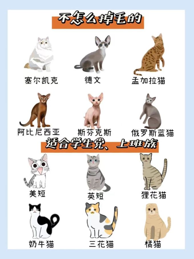 �����³������ֺ���Ʒ��ʵ��ͼ