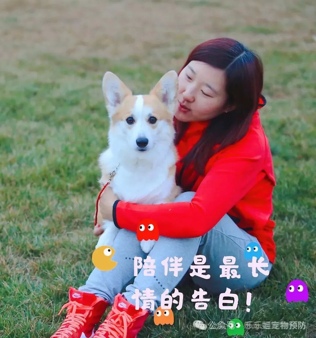 �����³���ӻؼ���Ӧ��ע��������ͼ