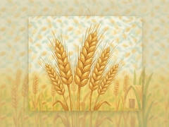 С���̼Ұ���ô�ò��ܿ���������������