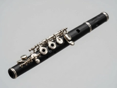 ���Saramonic System������˷�һ�϶�ʹ������
