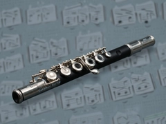 ���Saramonic System������˷�ϵͳʹ����