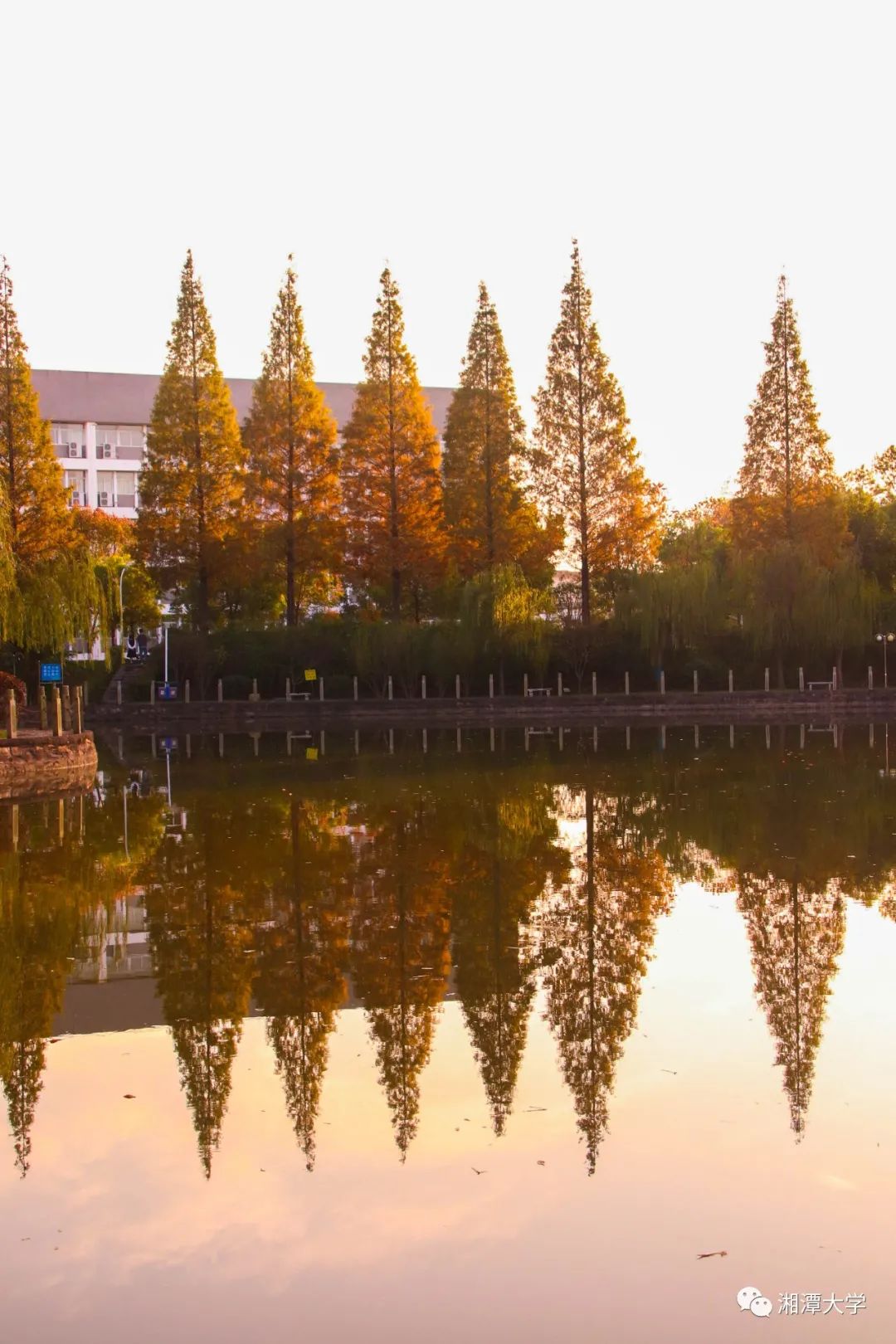 湘大校园秋景打卡路线与校园秋色全景