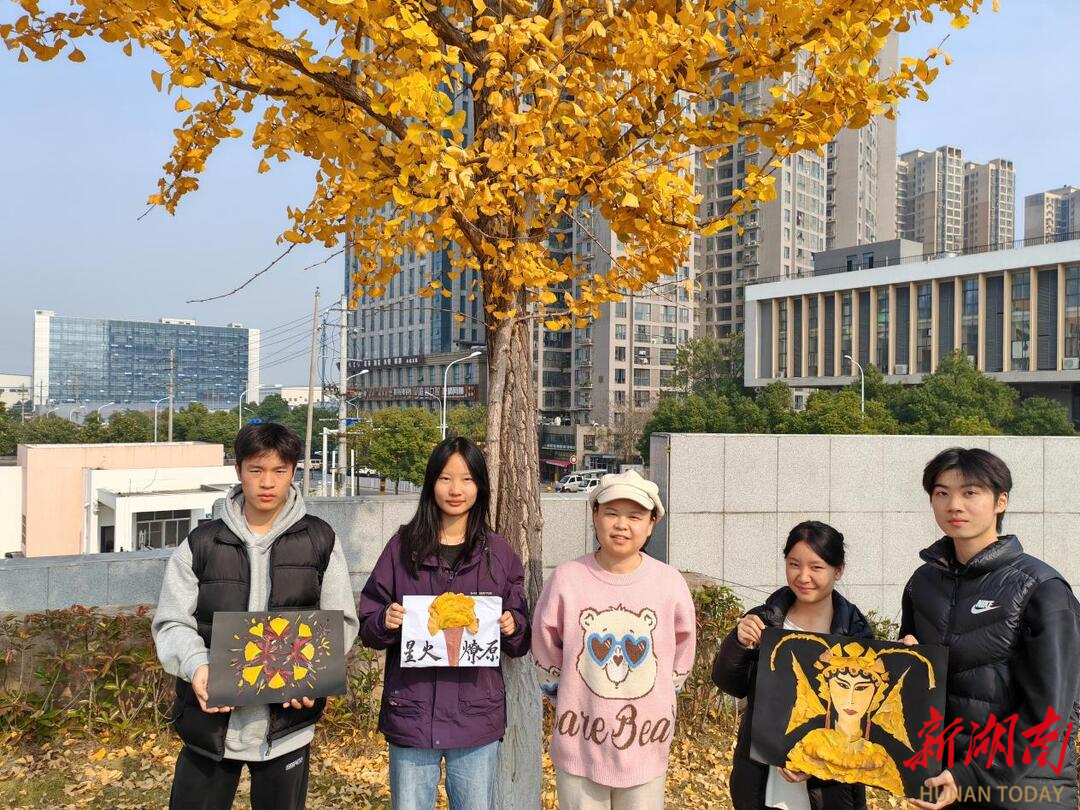 湘大校园教学楼后小树林落叶秋景实拍