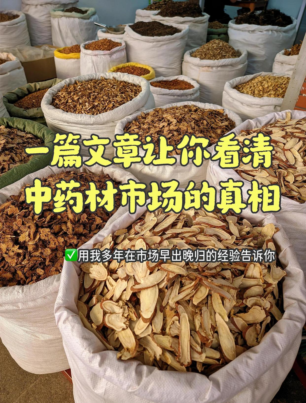 ��ɭ��ҩ ����ѡ����ҩ�ĳ���ͼ ��ɭ��ҩѡ��ָ��