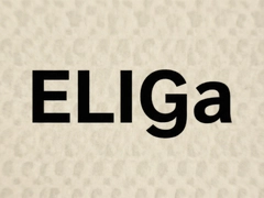 ELIGAƷ����ô��ֵ��������ʵ����