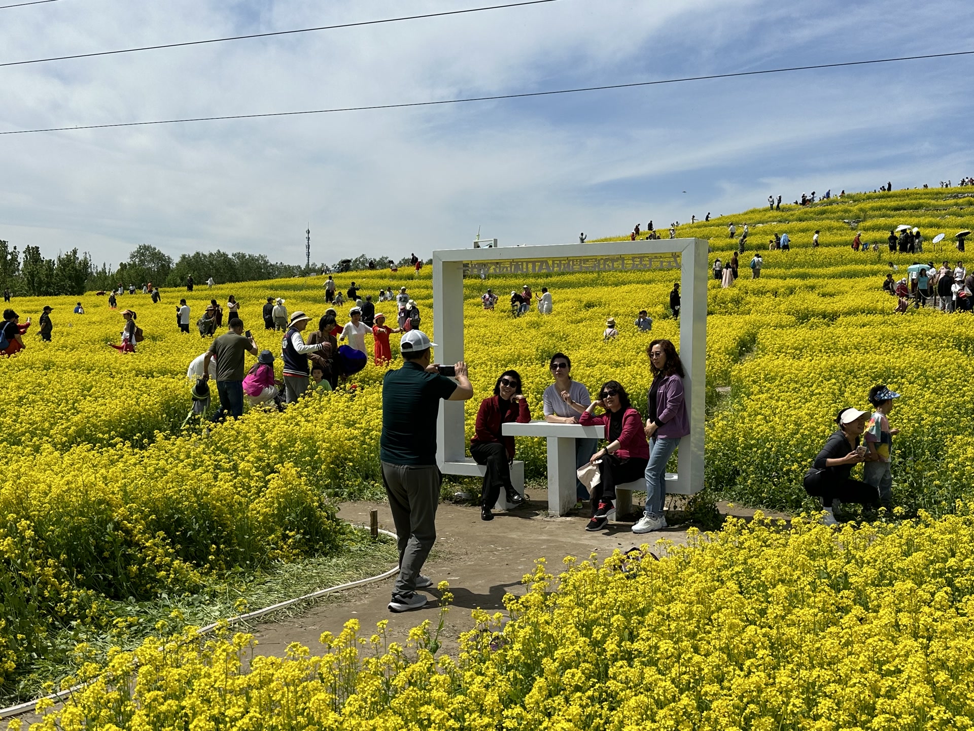 花游旅行 花田木栅栏拍照打卡地人像