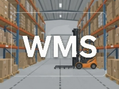 WMS�ִ�����ϵͳ���ѡ�ͱ���ȿ�