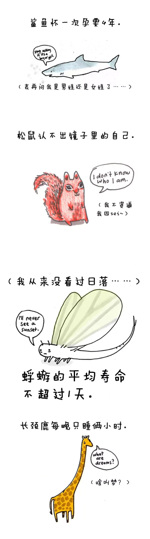 ���涯�� ����㳤��¹��֪ʶ��ͼ