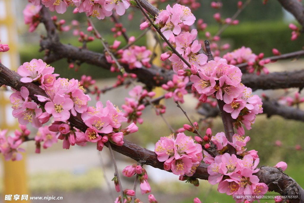 �׹����� ��׿�� �������