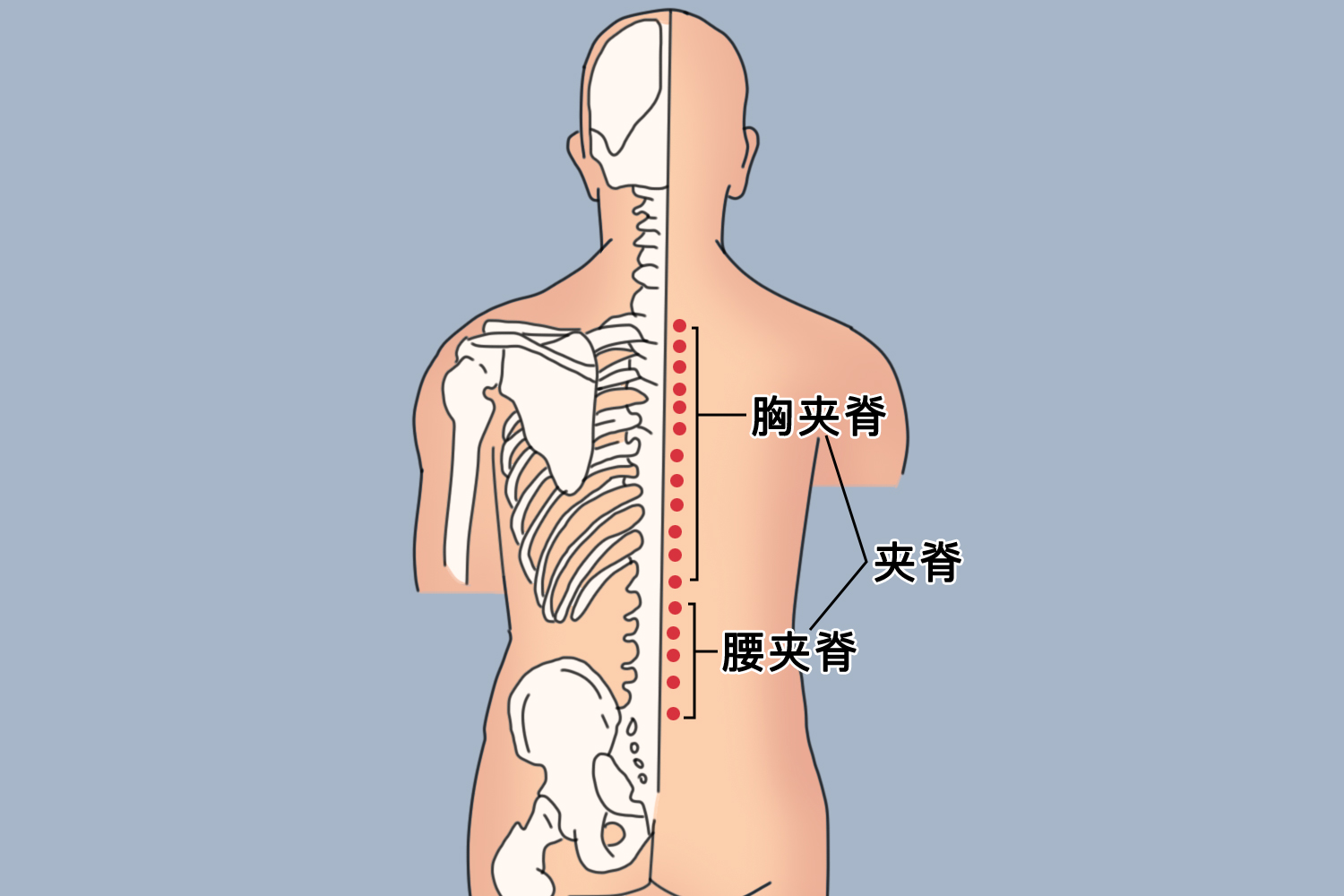 AI Agent助手 安卓版 功能界面截图