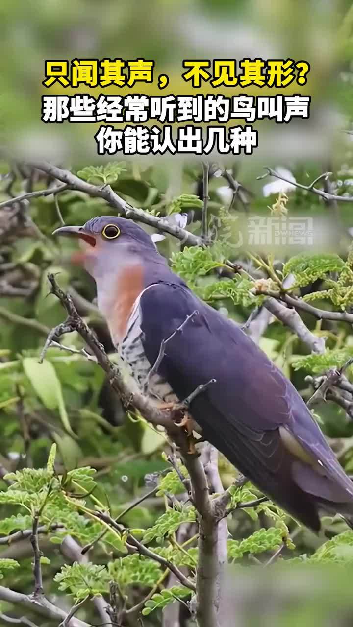 ������ ������������������ͼ
