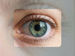 CompanionEye���ܰ�����ʹ�������빦�ܽ���