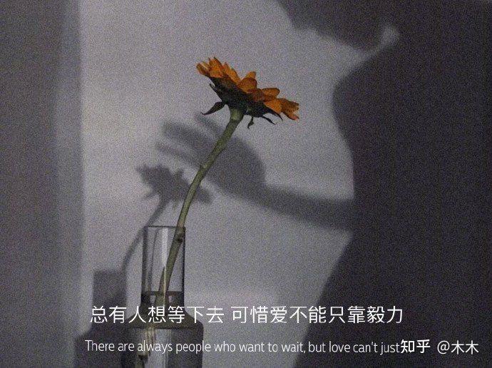 换机手机克隆互传 安卓版 传输界面