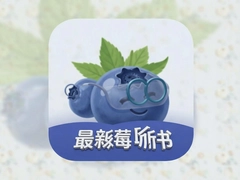 ��ݮ�������°����ذ�װȫ����