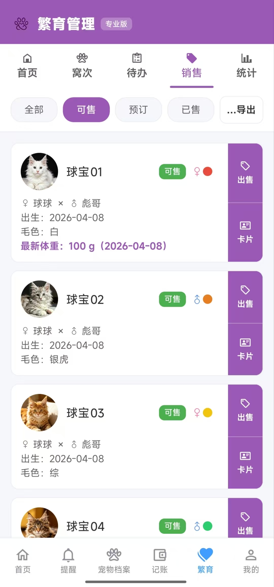 �ȳ轡������׿�� ���｡����������
