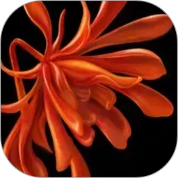 �ܼ�3.2.10 �Ҿ���������