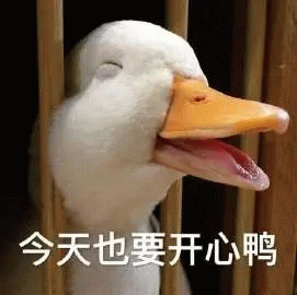 ����Ѽ��Ц�ճ�������������������ͼ