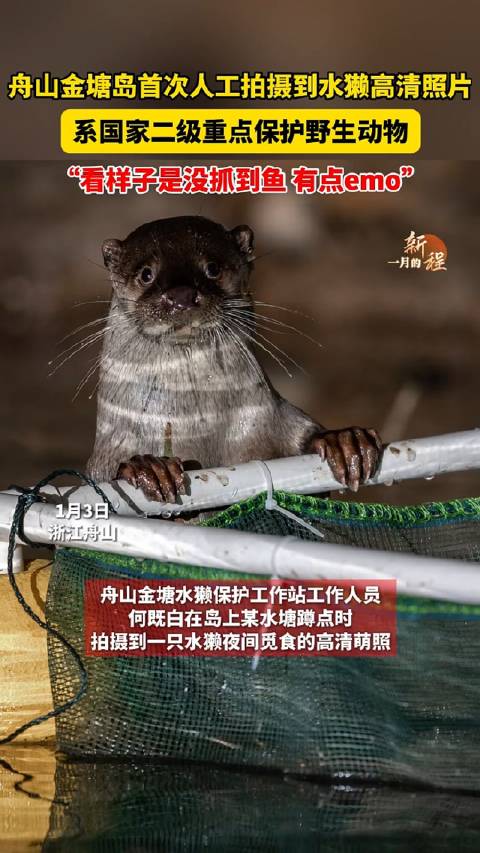 ˮ̡������״���Ҷ�������������ͼ