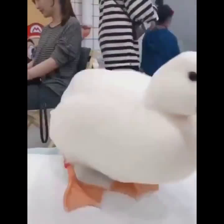����Ѽ��Ц��Ƶ��ͼ ����Ѽ���������