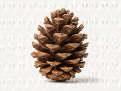 �ɹ���Դ���¶�̬����ҵ���ƽ���