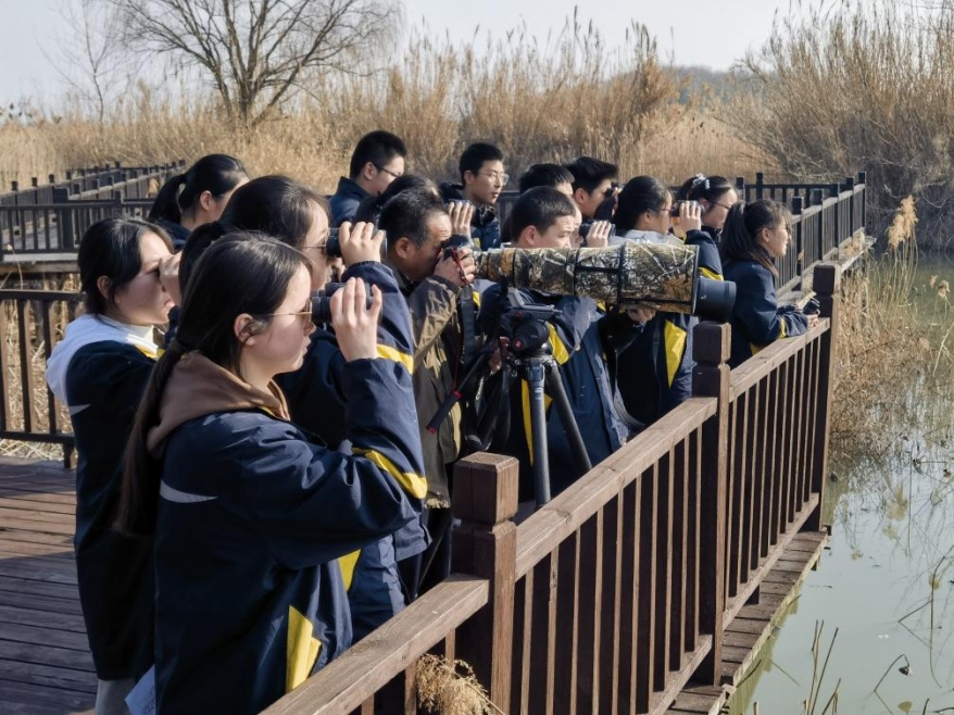 Birdilens鸟类镜头 拍鸟实测体验 公园湿地实拍场景