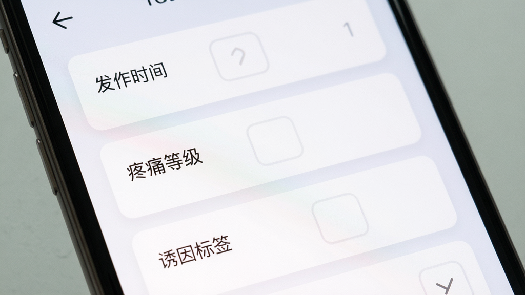 一张展示记录表单界面的图片,画面为手机屏幕特写,表单中包含