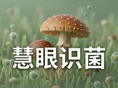 ����ʶ��������ٱ�𳣼�ʳ�þ�