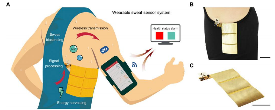 Pocket Sense �ڴ������� �ճ�Я�� �������ͼ