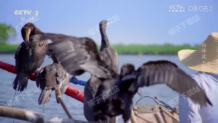 �ǺӲʺ�tv���عٷ���