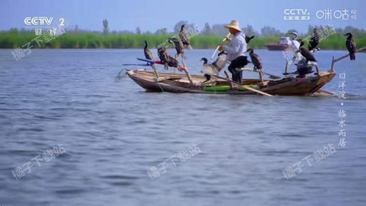 �ǺӲʺ�tv���عٷ���