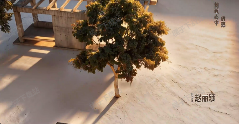 ����TV���°�����