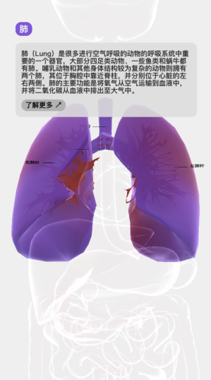 ����life��Ϸ���°�����