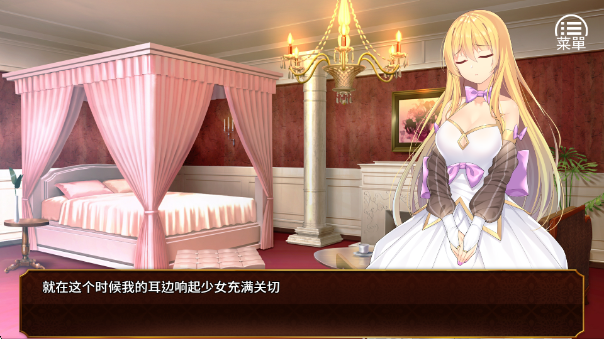 Ů������ҫ��Ϸ���ذ�װ(Queen)