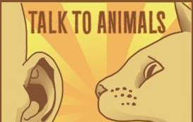 �ɺ������