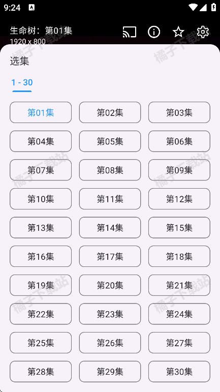 ʰ��ר���ֻ�������