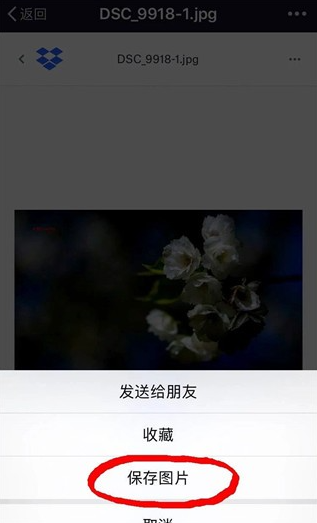 dropbox�ٷ�����